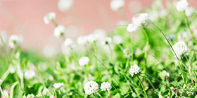 25045_ext_37_0.png
