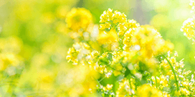 25045_ext_37_0.png