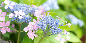 24764_ext_37_0.png